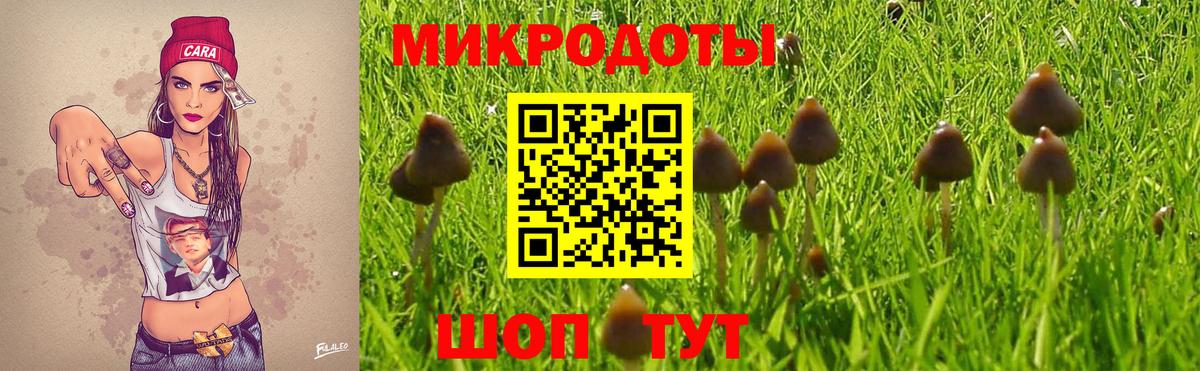 Галлюциногенные грибы мицелий  Вход с VPN  Дзержинск 